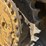 caterpillar-d6h-ii-image-29