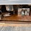2019-peterbilt-389-image-13