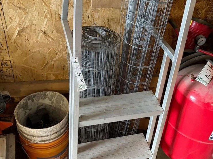 pool-ladder-and-chicken-wire-image-2