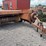new-holland-269-image-2