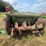 john-deere-660-image-12