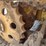 komatsu-d20p-image-24