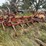 international-vibra-shank-image-5