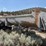 1999-king-trail-image-1