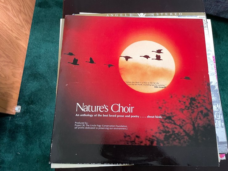#7322-•-(11)-vinyl-records-image-4