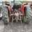 massey-ferguson-245-image-8
