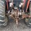 massey-ferguson-265-image-10