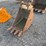 #2001-•-tag-16"-excavator-bucket-image-2
