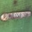 john-deere-6-image-32