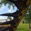 new-holland-456-image-19