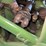 root-and-vandervoort-john-deere-4-horse-hit-and-miss-engine-with-cart-image-20