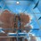 kinze-640-image-26