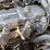 2019-caterpillar-2c6000-image-40