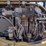 caterpillar-303-image-30