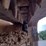 deere-331g-image-15