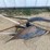 #4687-•-walk-behind-single-bottom-plow-image-8