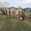 hesston-3991-image-7