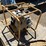 wacker-neuson-pt2a-image-2