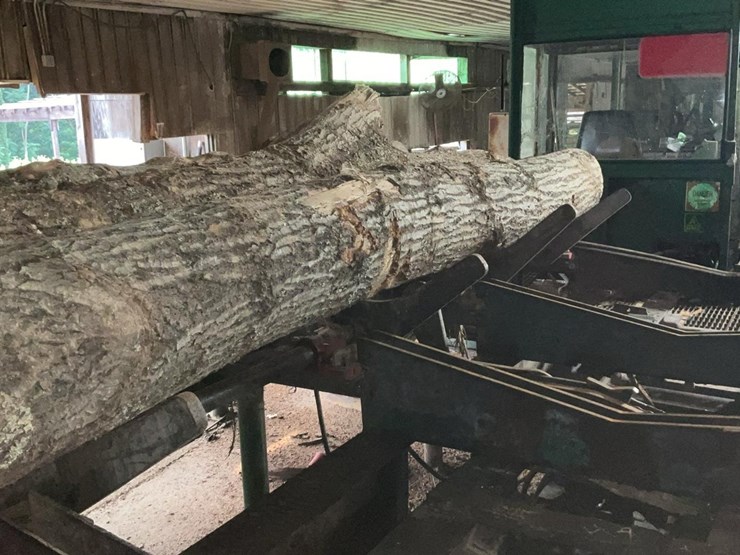 #156-•-4-strand-log-deck-image-7