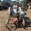 monitor-5-horse-hit-and-miss-engine-with-cart-image-6