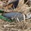 john-deere-pull-type-four-bottom-plow-image-28