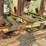 #186-•-hmc-ac50bd-carriage-image-18