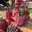 ideco-214-duplex-mud-pump-p/b-caterpillar-d353e-engine,-skidded-image-16
