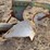 john-deere-three-point-three-bottom-plow-image-11