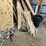 #7103-•-misc-metal-and-tools-image-9