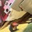 case-ih-1020-image-31