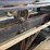 #126-•-cornell-36-edger-image-35