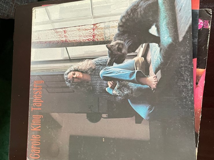#7321-•-(17)-vinyl-records-image-14
