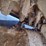 bobcat-t190-image-21