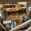2007-timberwolf-pro-mx-image-28
