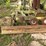 #186-•-hmc-ac50bd-carriage-image-6