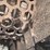 #168-•-morbark-hd30-mulch-hog-image-25