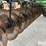 john-deere-630-image-14