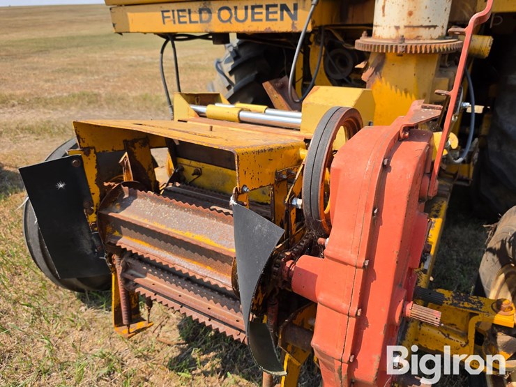 field-queen-7600-image-15