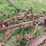international-harvester-two-bottom-pull-type-moldboard-plow-image-8
