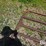 14'-livestock-gate-image-11