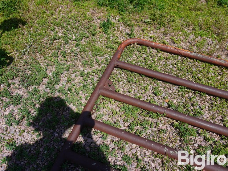 14'-livestock-gate-image-11