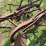 international-harvester-two-bottom-pull-type-moldboard-plow-image-16