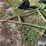 deere-tires-image-15