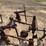international-harvester-461-fast-hitch-cultivator-image-11