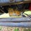 1991-caterpillar-3406-image-89