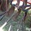 international-5100-image-14