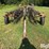 m&w-bf10-image-2