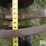 john-deere-aw-image-9