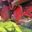 farmall-1566-turbo-image-29