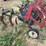 international-harvester-34-461-fast-hitch-mounted-cultivator-image-9